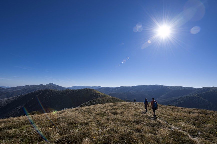 Falls to Hotham Alpine Crossing