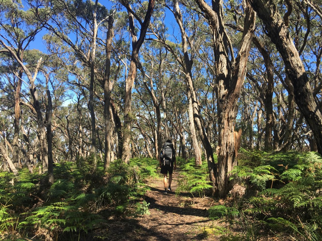 Blanket Bay to Parker Inlet - Great Ocean Walk