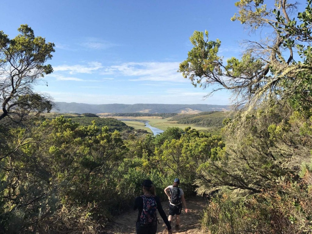 Great Ocean Walk - Aire River Views