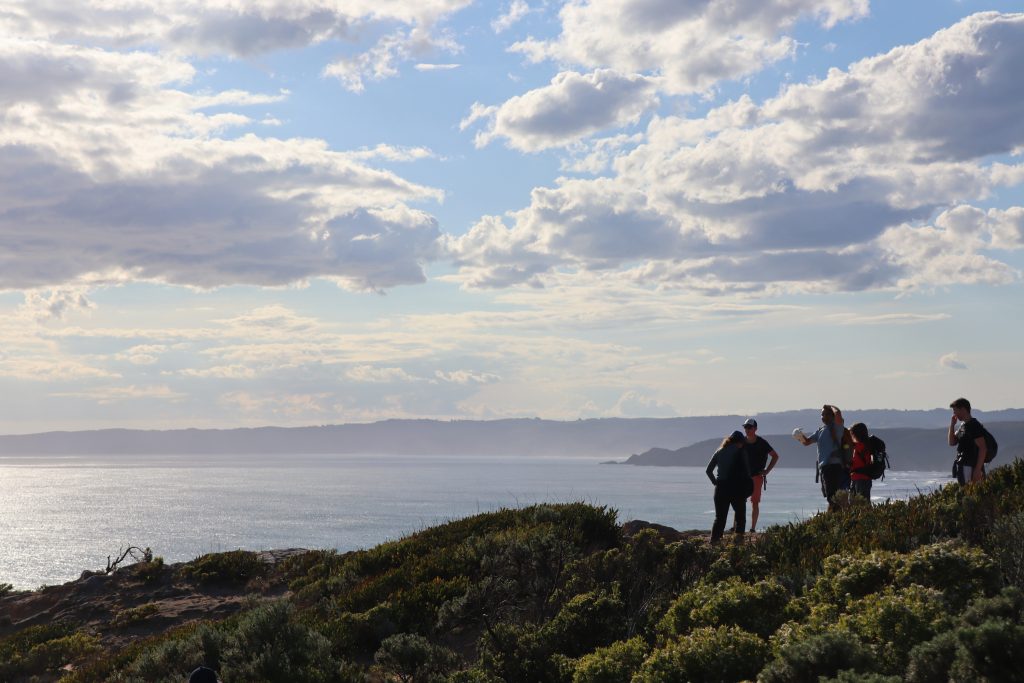 great ocean walk tour - station beach