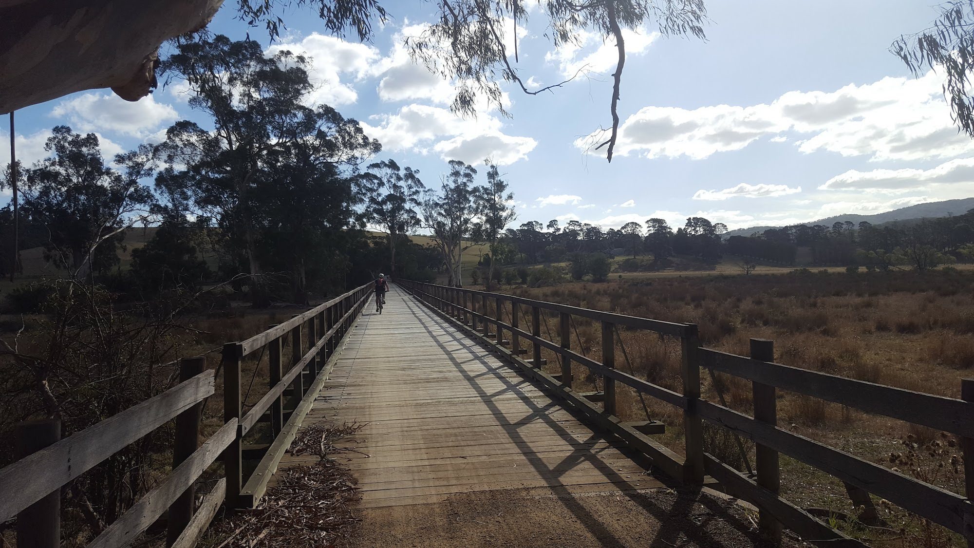 Warburton Trail - Yarra Valley Day Tour