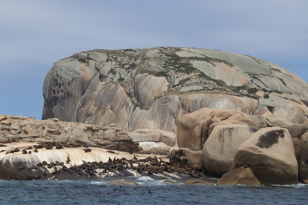 Boat Cruise Wilsons Promontory