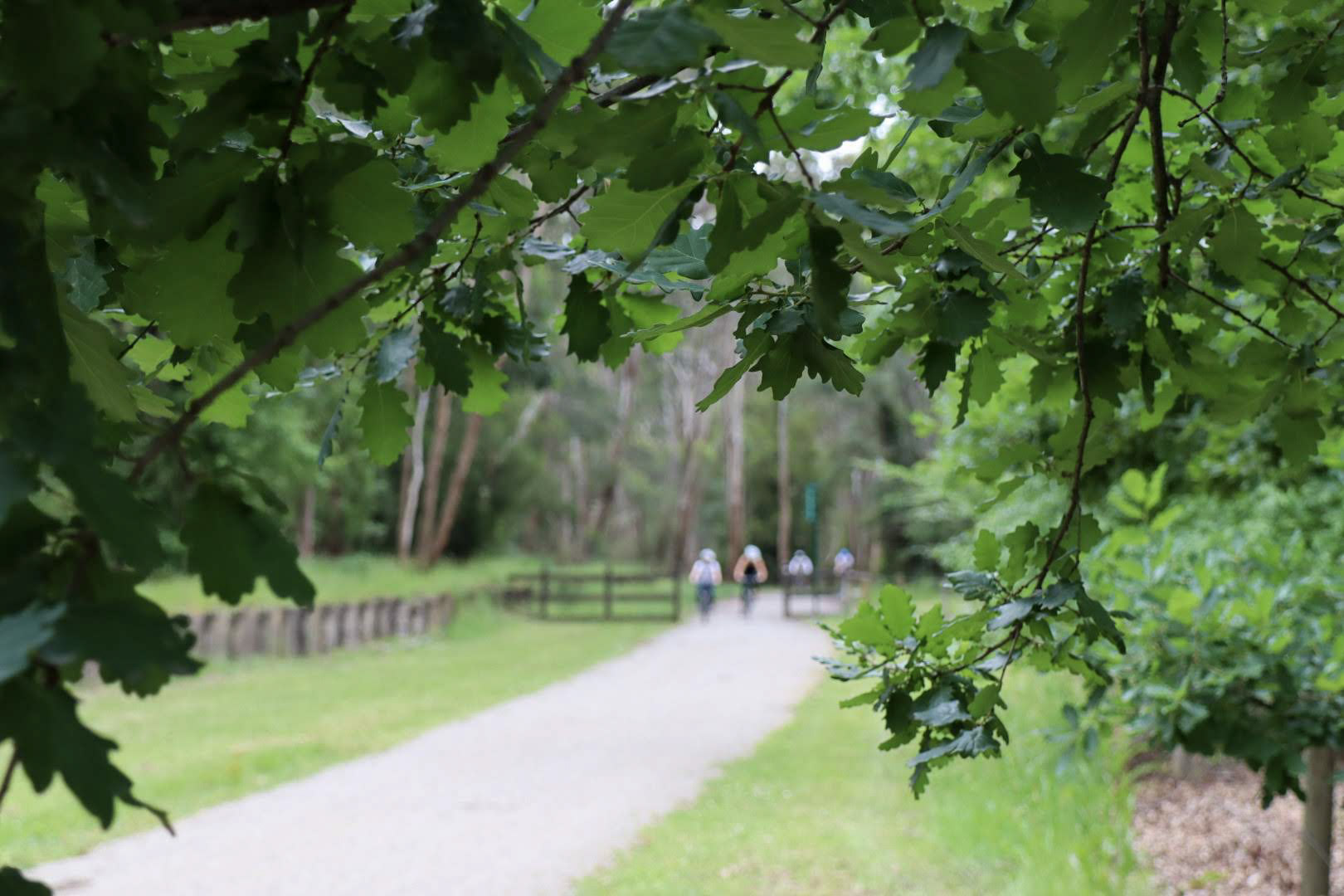 Yarra Valley Wine & Cycling Tour - Good Times Tours