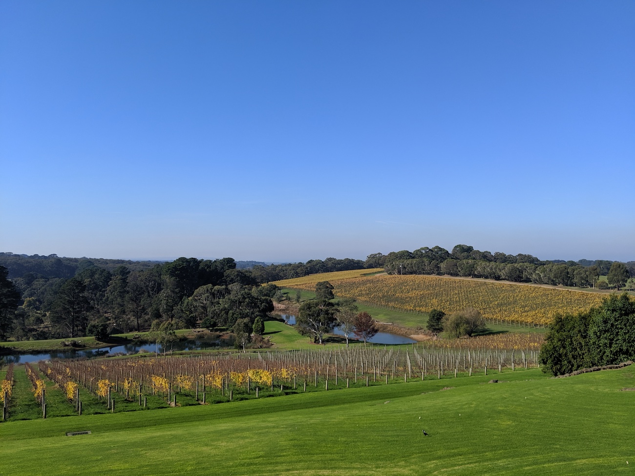 Port Phillip Estate - Mornington Peninsula