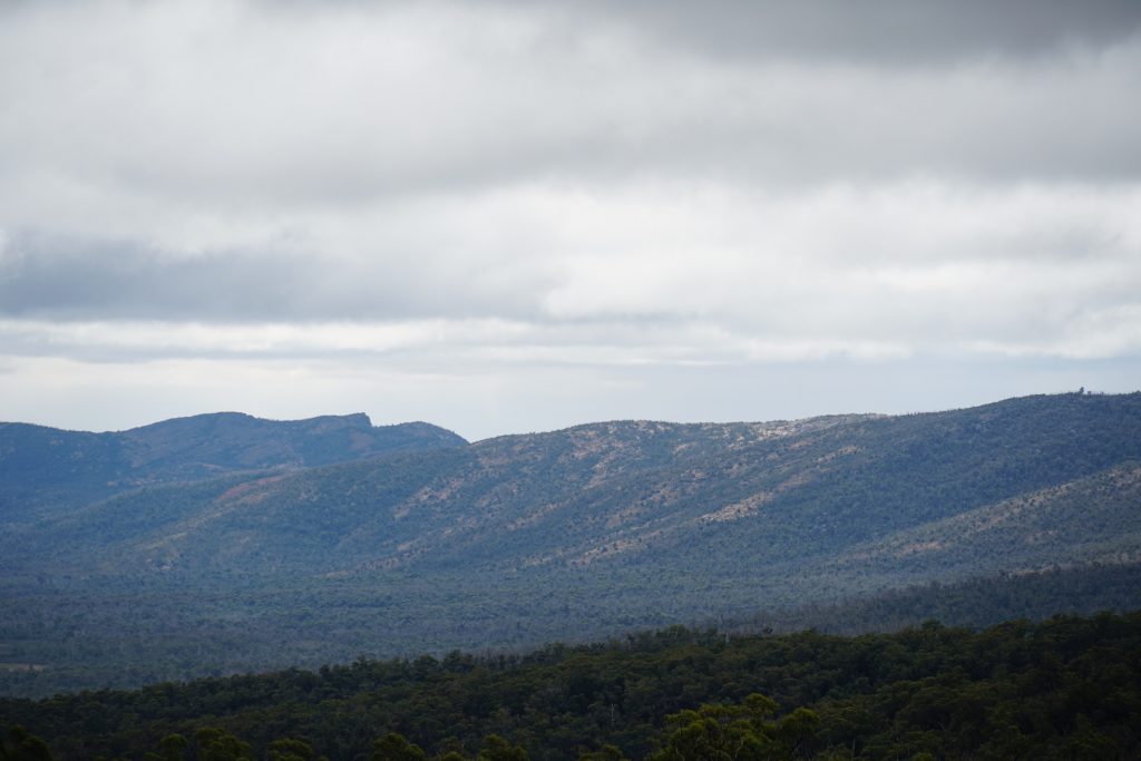 Looking out towards where the future Grampians Peaks Trail will run