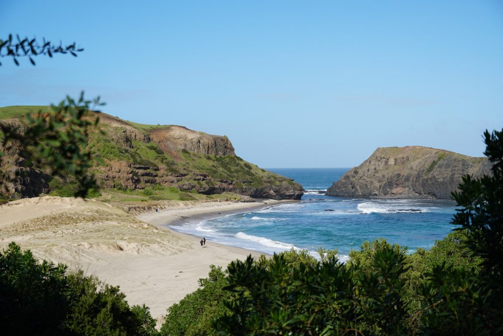 Bushrangers Bay & Elephant Rock - Mornington Peninsula Hiking Tour