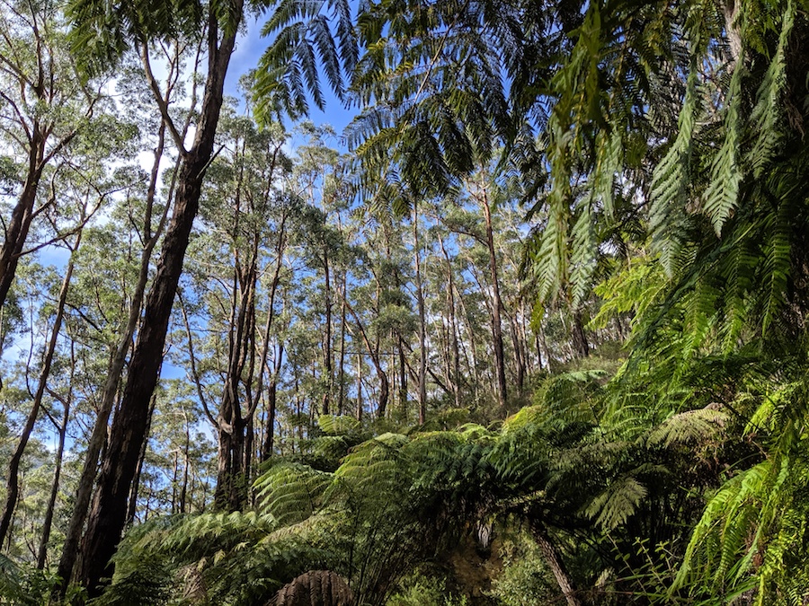 Sealers Cove Overnight Hike - Wilsons Promontory