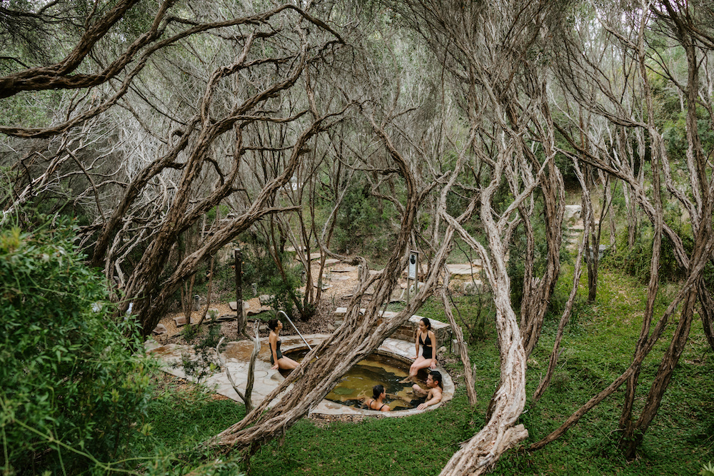 Mornington Peninsula Hot Springs and Wine Day Tour