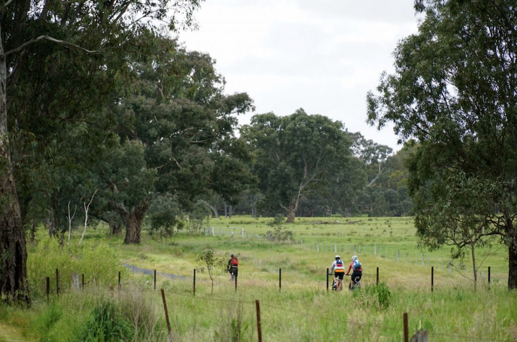 Great Vic Rail Trail - Victorian Cycling Tours