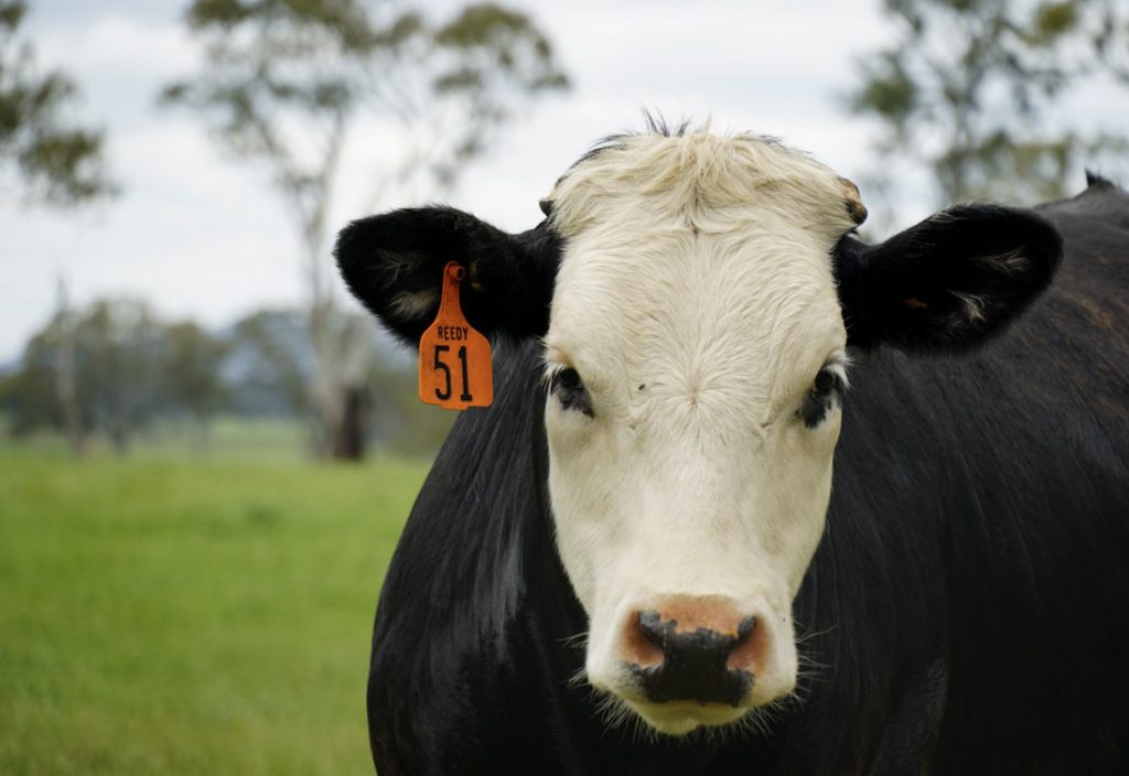 When I'm not cycling, I drive ahead of my guests and keep myself occupied taking photos of the locals. 