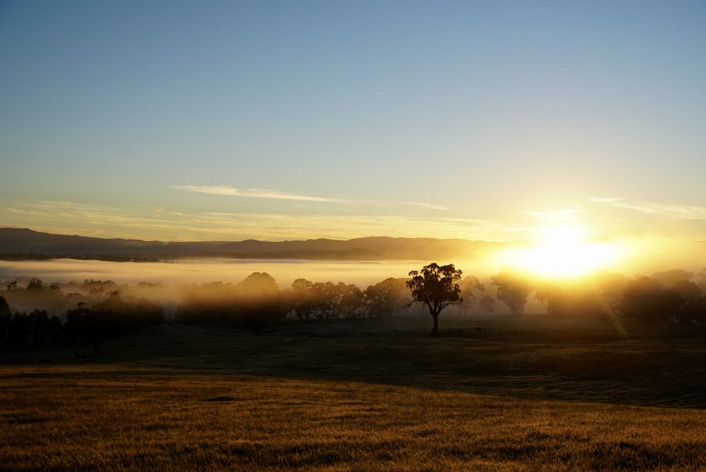 Waking up at our Airbnb accommodation in Maindample, just 7km's west of Mansfield - Great Vic Rail Trail Tour