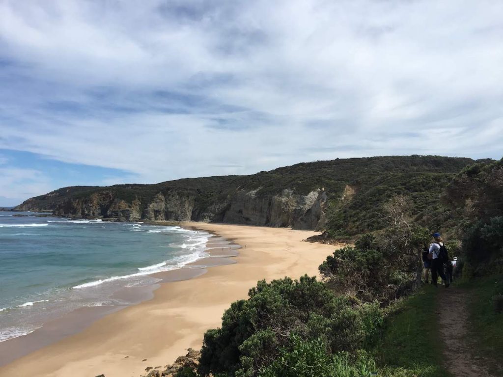 Near Castle Cove on the Great Ocean Walk. 