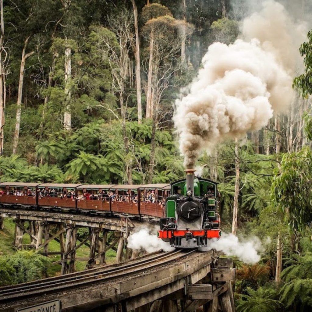 Puffing Billy Steam Engine in the Dandenong Ranges 