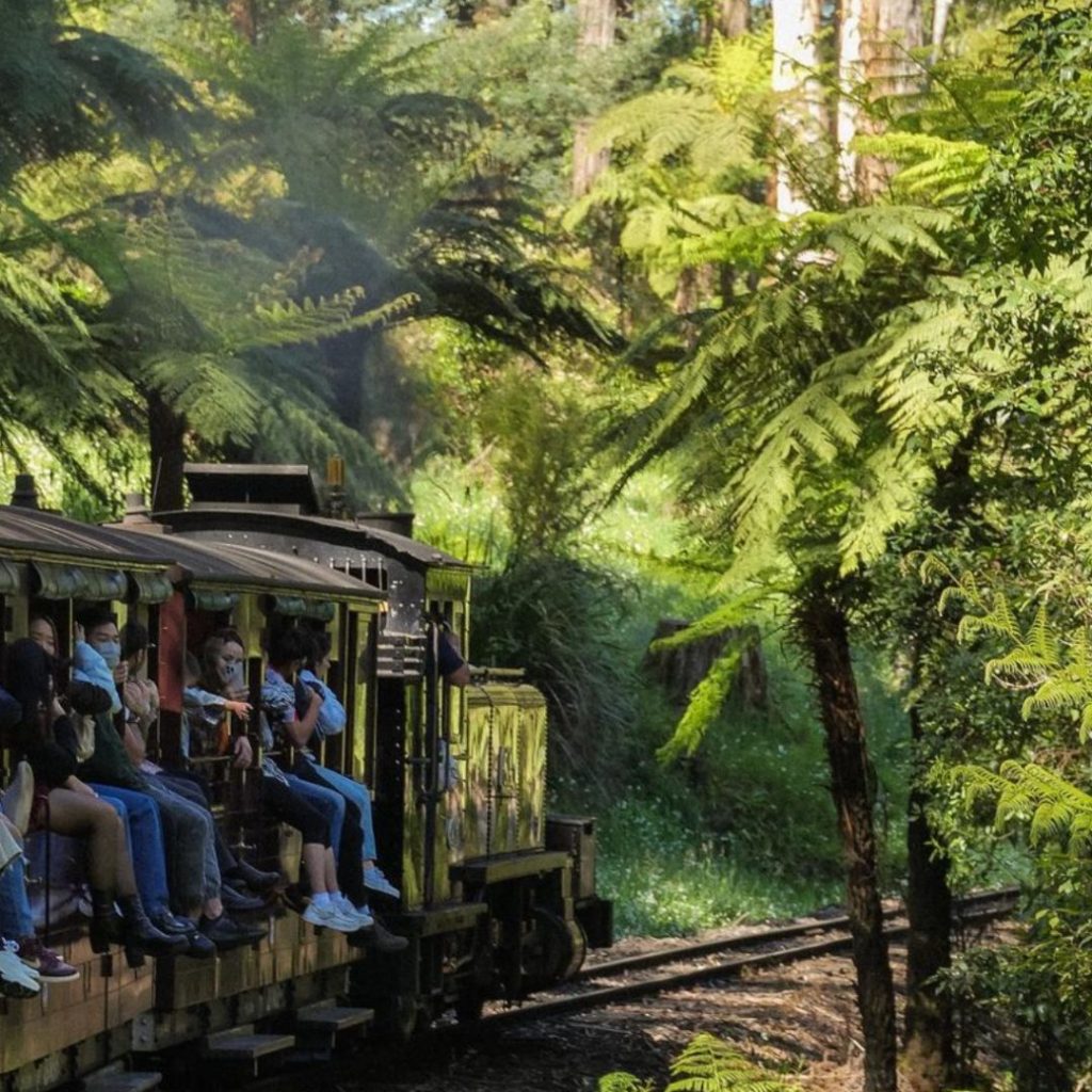 Puffing Billy steam engine moving through the Dandenongs Forest