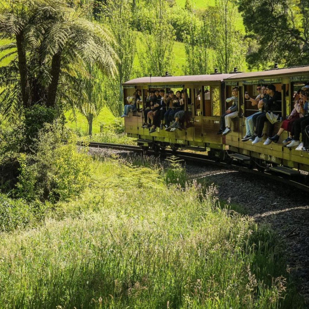 Guests dangling with their legs out on Puffing Billy. 