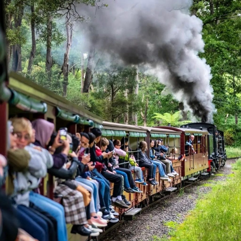 Steam coming out of Puffing Billy's steam engine. 