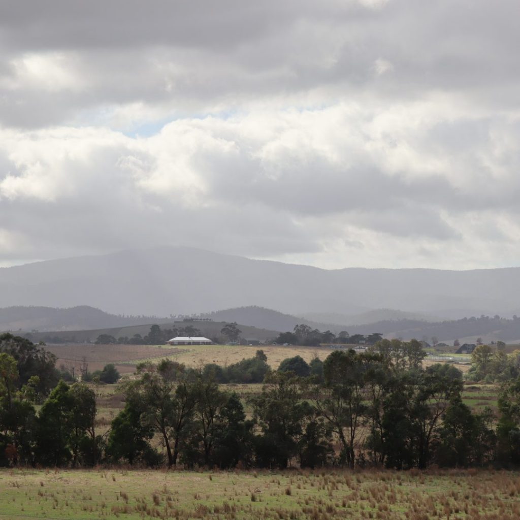 View from Yering Station in the Yarra Valley