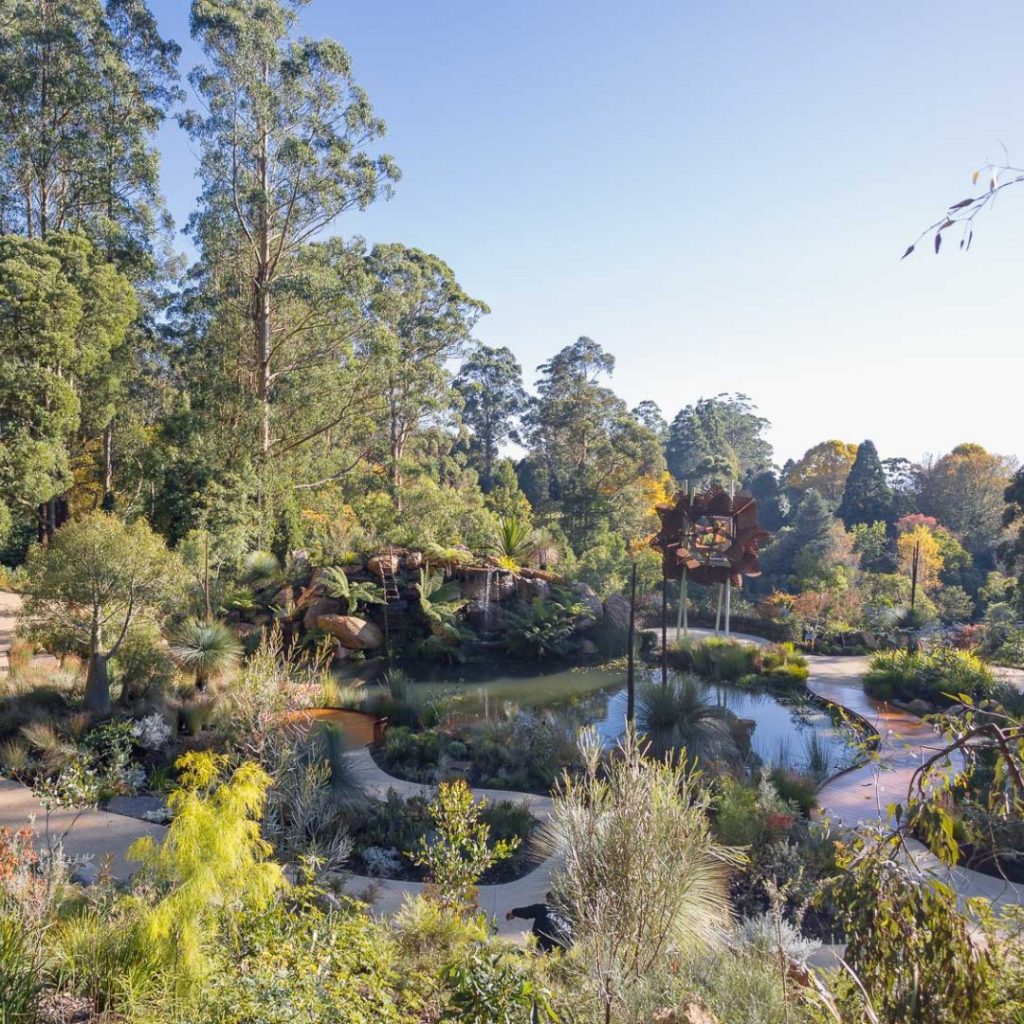 The Chelsea Australian Garden at Olinda 