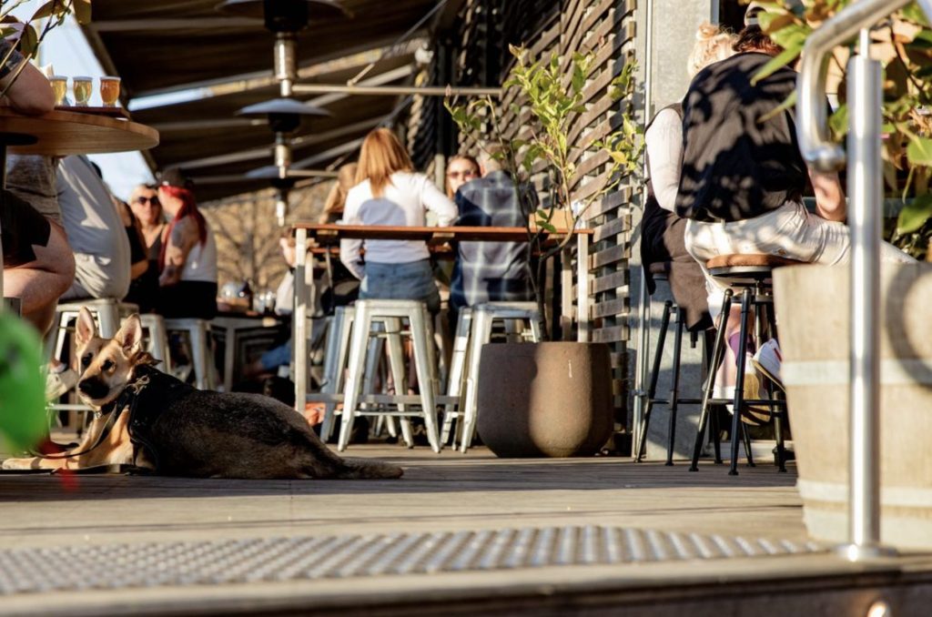 Matilda Bay Brewpub in Healesville 